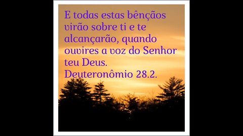 VERSÍCULO DO DIA 28/042022.#shorts