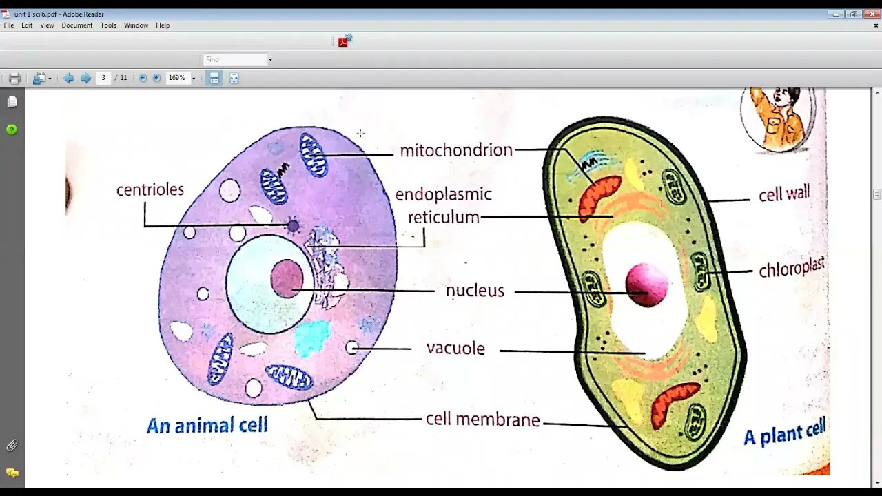 SCIENCE CLASS 6 5 04 2021