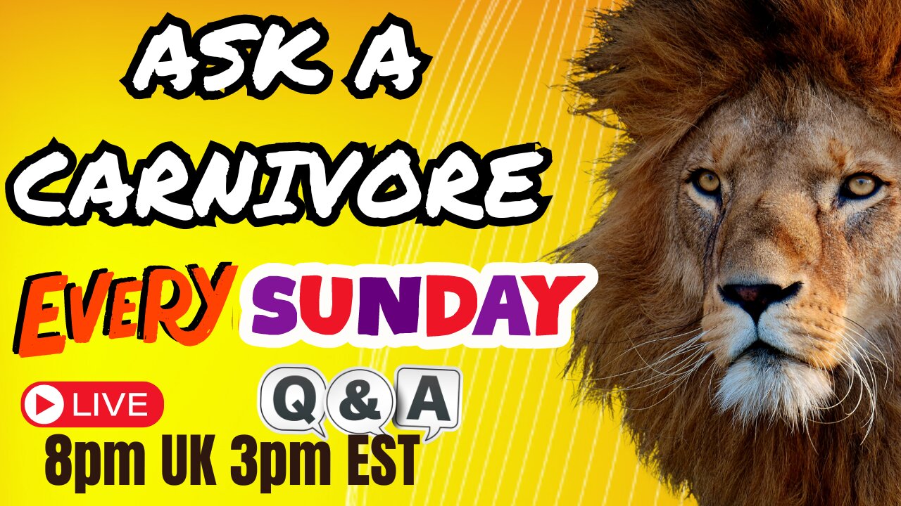 Ask a Carnivore a Question