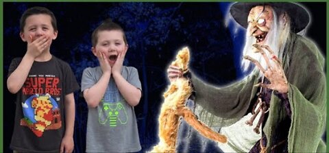 Cauldron Cat-tastrophe Spirit Halloween | Unbox Setup Halloween Animatronic ...
