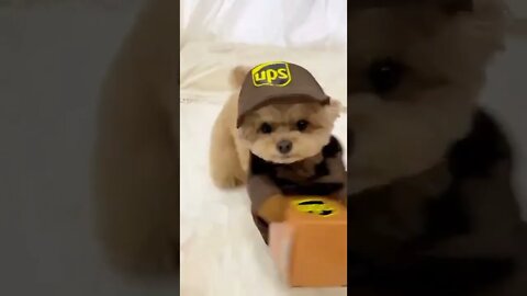 sua encomenda chegou 😂😂😂
