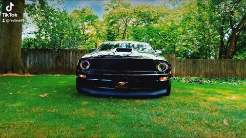 mustang photo X3