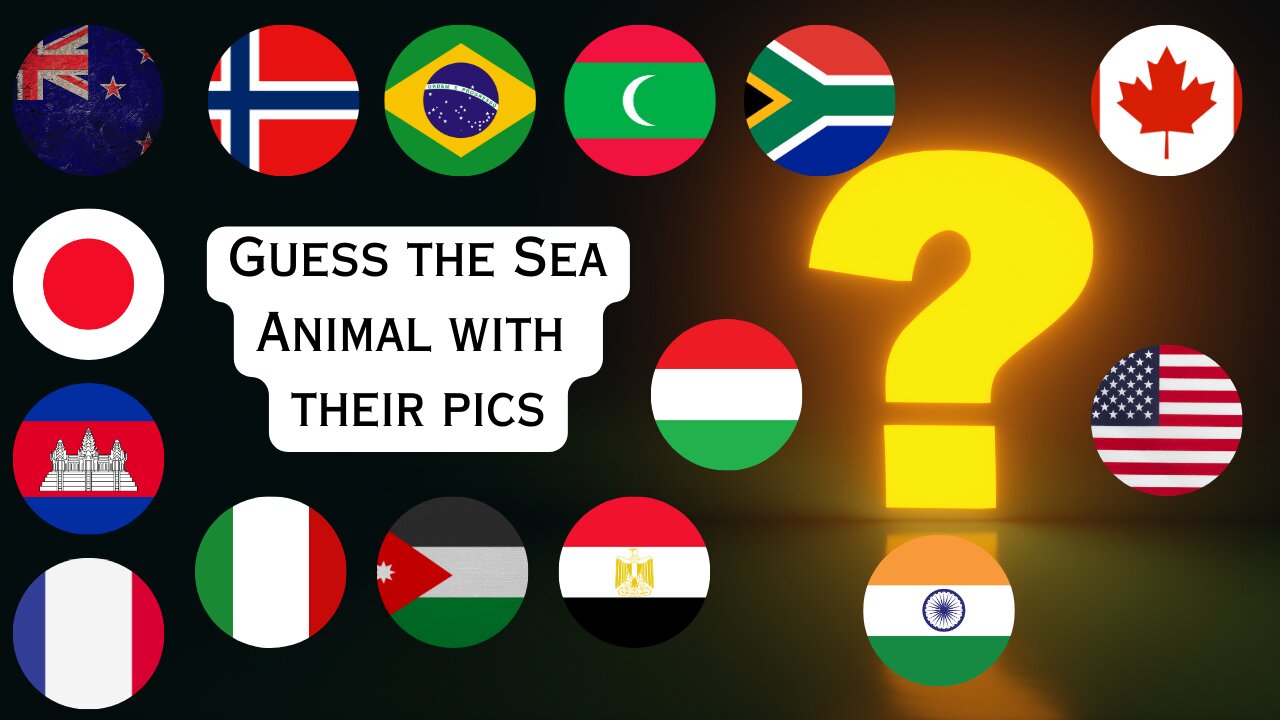 Guess 50 Sea Animal Name by their pics | Sea Animal | Animal Quiz | Owais Ahmed