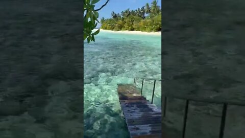 it's Maldives... ❤️🥰❤️🥰 #maldives #nature #beach #beutiful #maldivesbeach