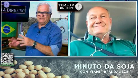 Milho em colheita e mercado pressionado
