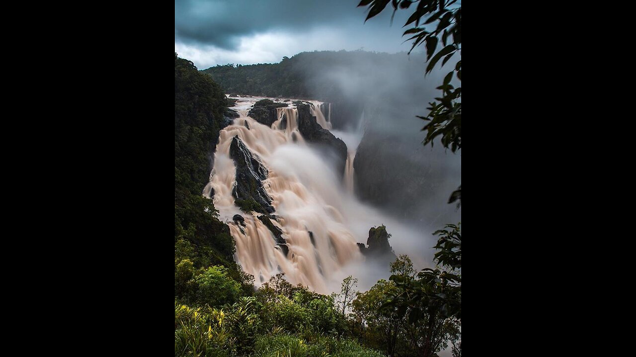 THE SYMBIO BROTHERS - KURANDA - EGY