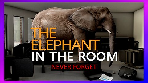 THE ELEPHANT IN THE ROOM - NEVER FORGET