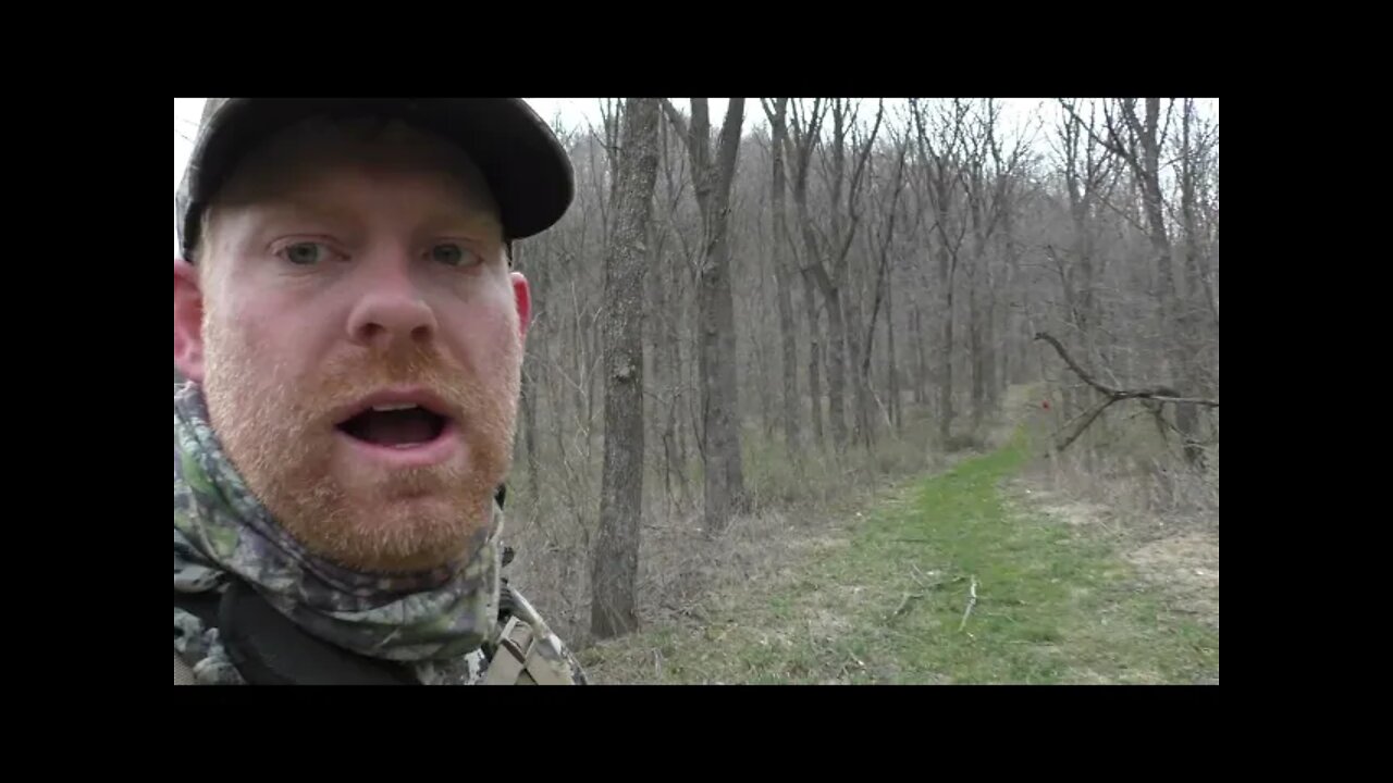 Wisconsin Public Land Turkey Down, Chasing Turkey in the Hills of Wisconsin