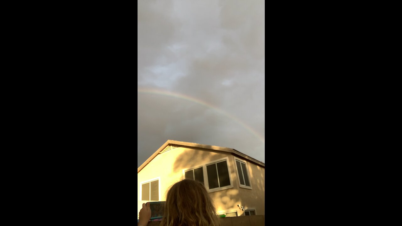 The rainbow