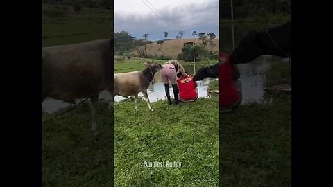 LaughLagoon #LaughLagoon #ComedyCentral #HilariousMoments #ViralLaughs #EpicFails #SmileBreak
