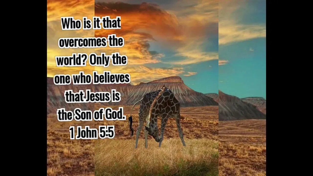 💕 The Earth is the LORD'S 💕