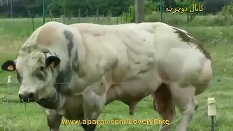 ۲۳ اوت ۲۰۲۲