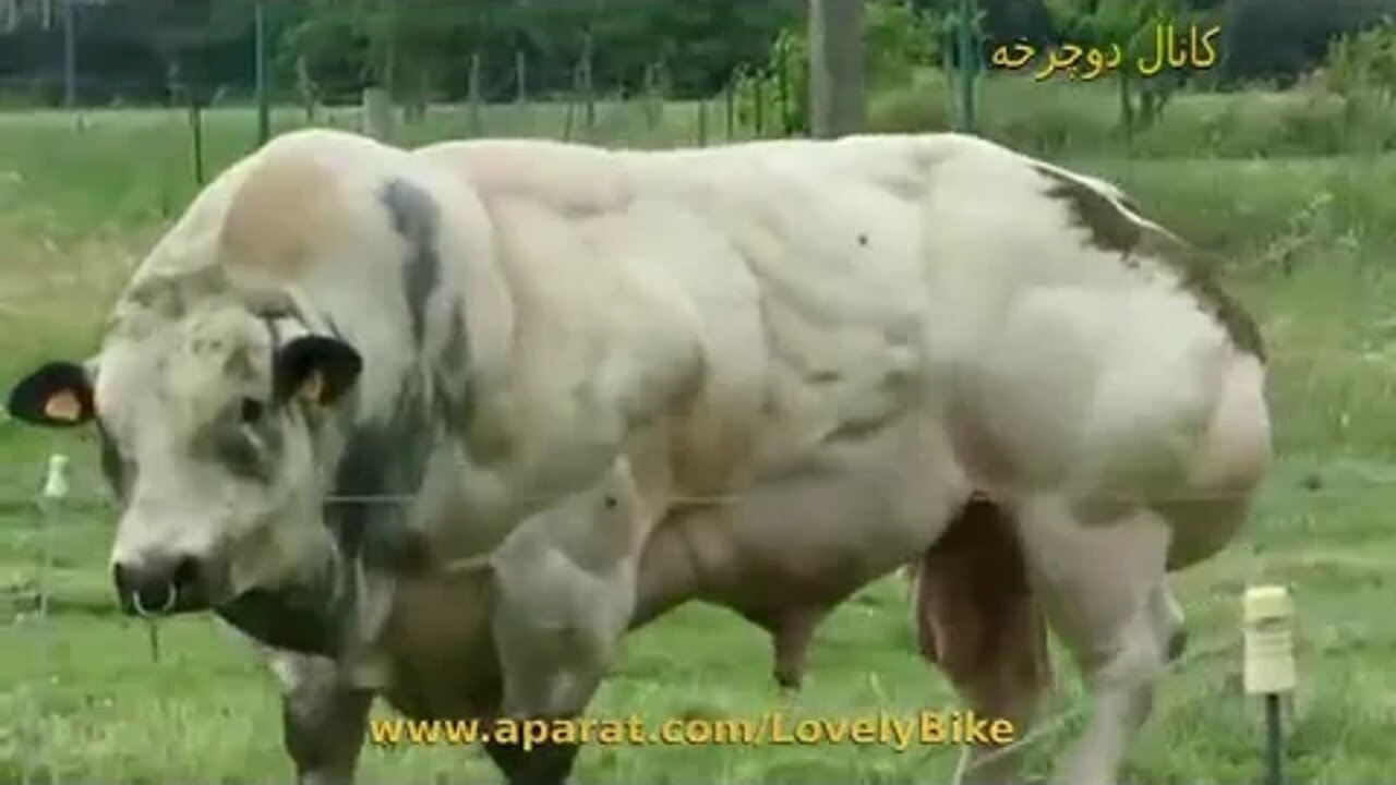 ۲۳ اوت ۲۰۲۲