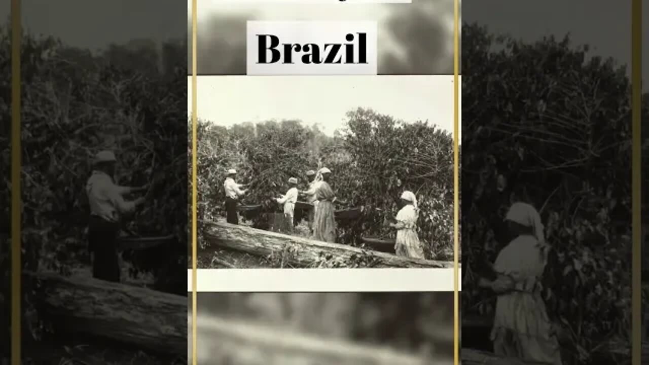 Slavery in Brazil, not so fun facts, #shorts.