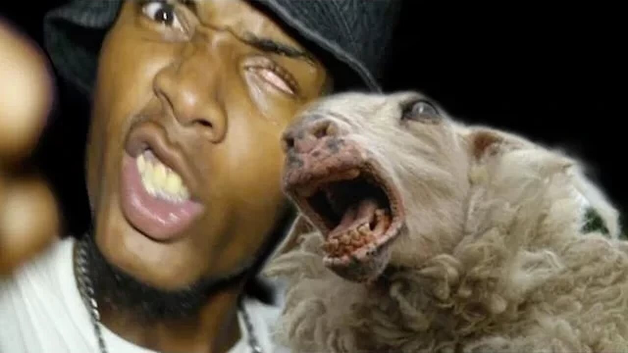 Fetty Wap Gets In An Argument With Actual Sheep