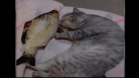 Cute And Funny Pets | Try Not To Laugh To These Pets Compilation 💗 Cutest Lands