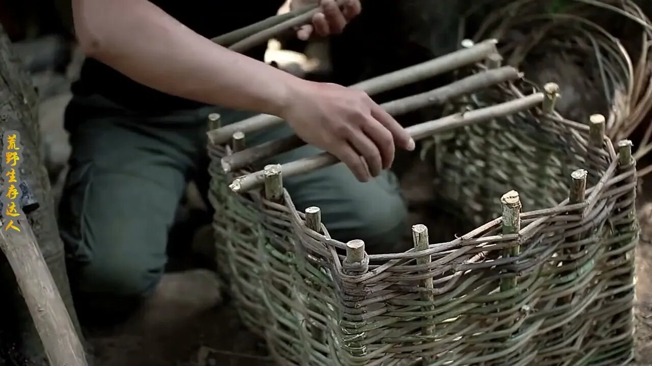 Man lives in the rain forest all year round and uses natural tree holes as shelter/Episode27