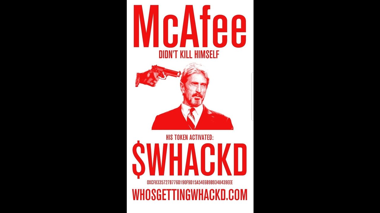 John McAfee CREEPY interview