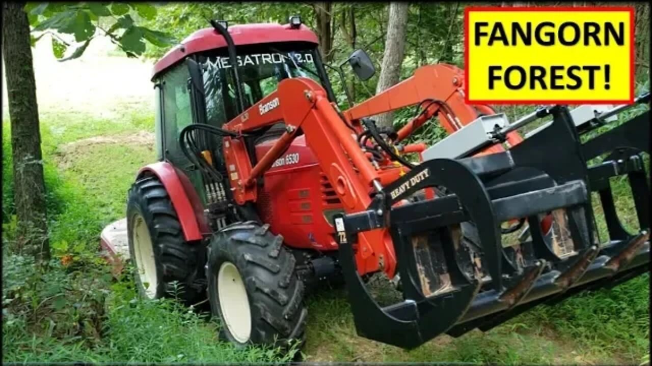 Branson tractor mowing Fangorn Forest roads! Bush hog BH26