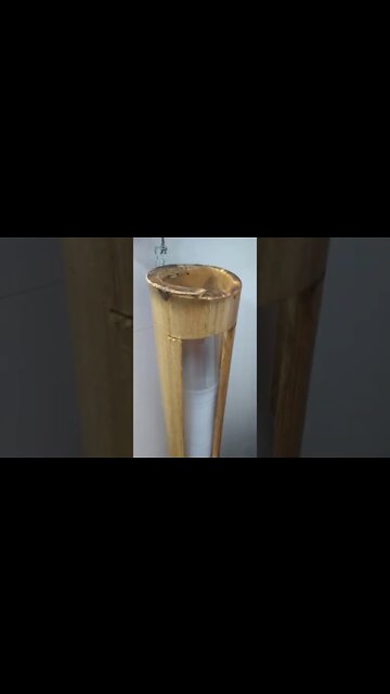 porta copos descartáveis #shorts