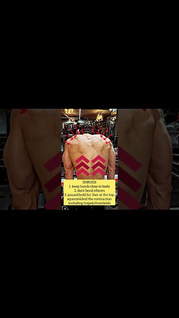 SHRUG&TRAPS #shorts #youtubeshorts