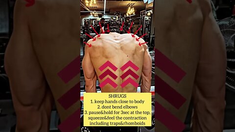 SHRUG&TRAPS #shorts #youtubeshorts