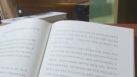 브레인바이블, 안와전두엽피질, 배외측, 전전두엽피질, 뇌속의뇌, 진화의법칙, 해마, 아세틸콜린, 군인, 감정