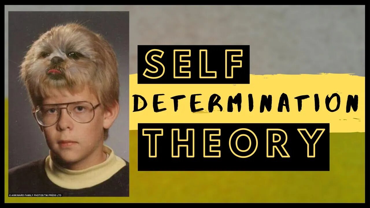 Self-Determination Theory! (SERIES PART 6 OF 6)