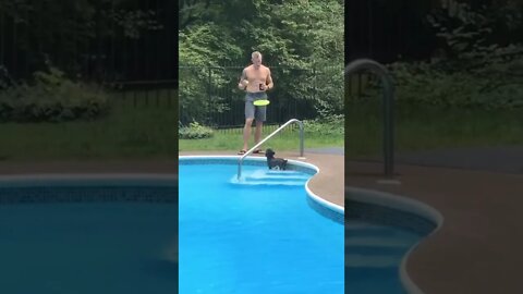 Sometimes wrong Aiming Gets Funniest Hits #shorts #viral #best