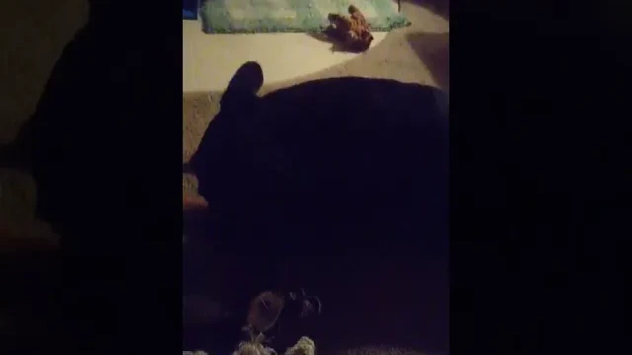 Max's is missing his daddy.