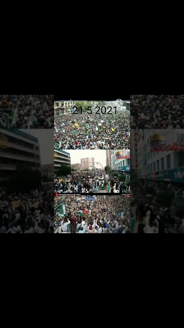 rizvi status | allama Dr shafeeq ameni talk about Tlp