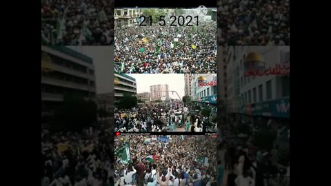 rizvi status | allama Dr shafeeq ameni talk about Tlp