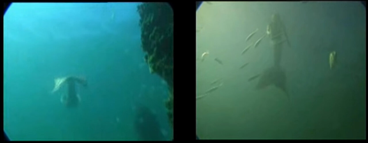 Le sirene: explained....