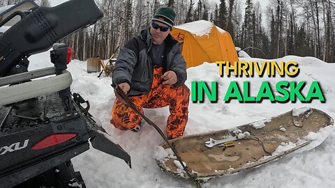 Winter Adventures in Alaska: Dog Mushing & Snow Machines