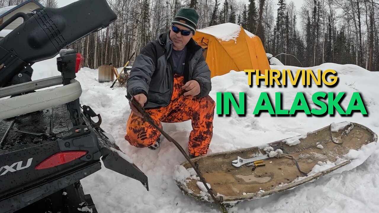 Winter Adventures in Alaska: Dog Mushing & Snow Machines