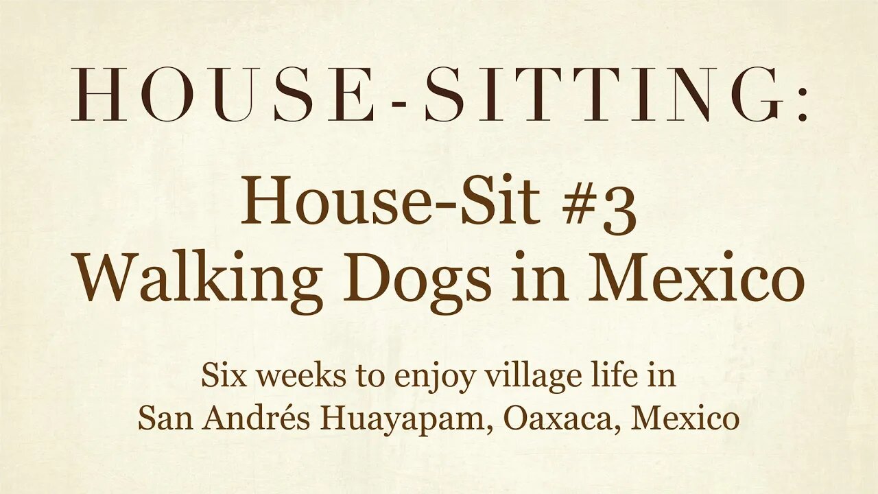 House-Sitting » House-Sit #3 » Walking Dogs in Mexico » San Andrés Huayapam, Oaxaca, Mexico