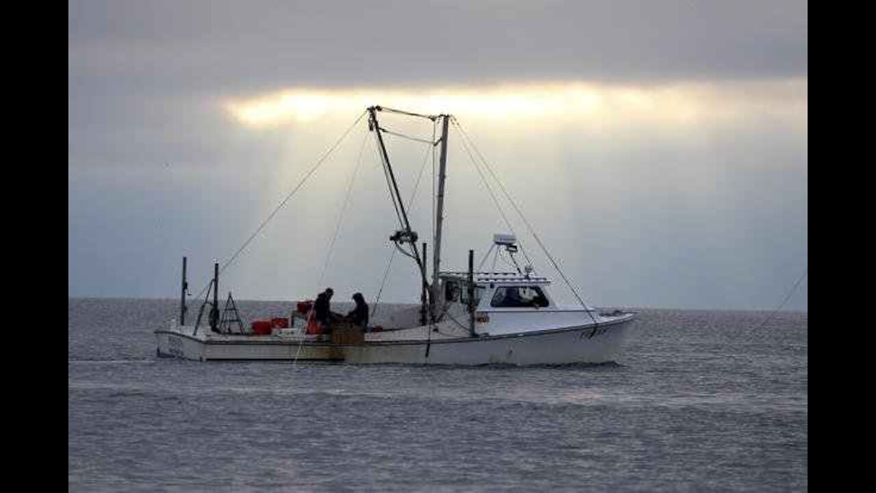 Group Cites Chemical Concerns at Military Sites Near Chesapeake Bay