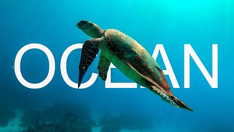 Beautiful Calm Relaxing Stress Relief || Ocean, Sea Turtles