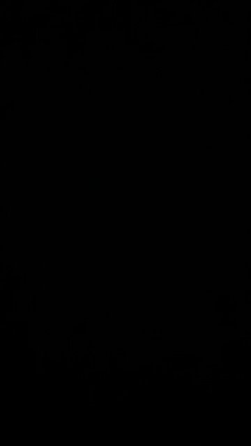 Cheeseburger in Paradise