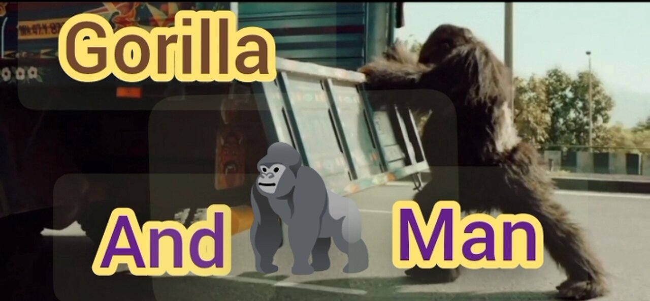 Gorilla and man funny video 😁