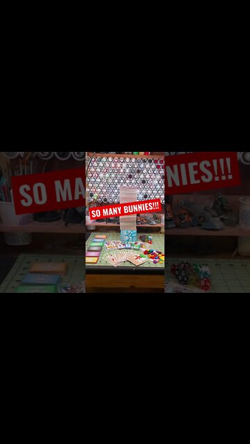 Why are there so many bunnies? #shorts