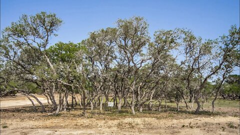 1 acre lot for sale Belle Oaks community, Bulverde Tx. Bonus Belle Oaks tour