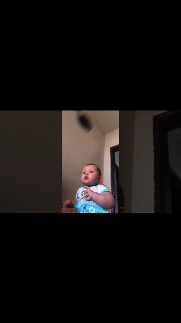 Fazendo e dando papinha para a Memel - Very beautiful baby eating - 食べる非常に美しい赤ちゃんTaberu hijō ni