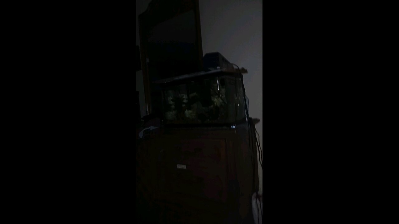 the closest thing to living underwater