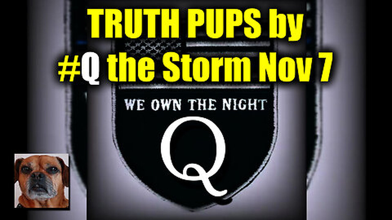 Truth Pups News - Trump Win Nov - Election What to Expect