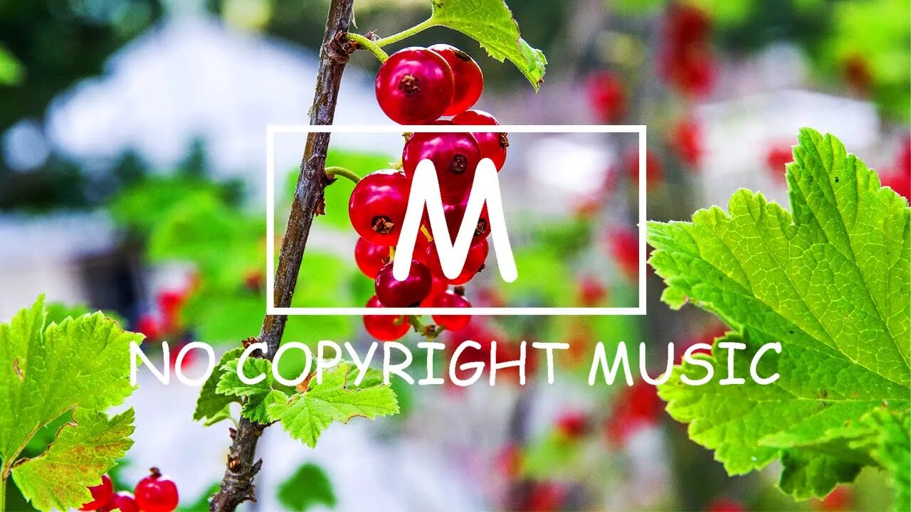 Jarico - Island（Mm No Copyright Music）