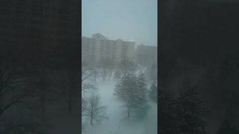 【各位老鐵不喜勿入可繞過】暴雪