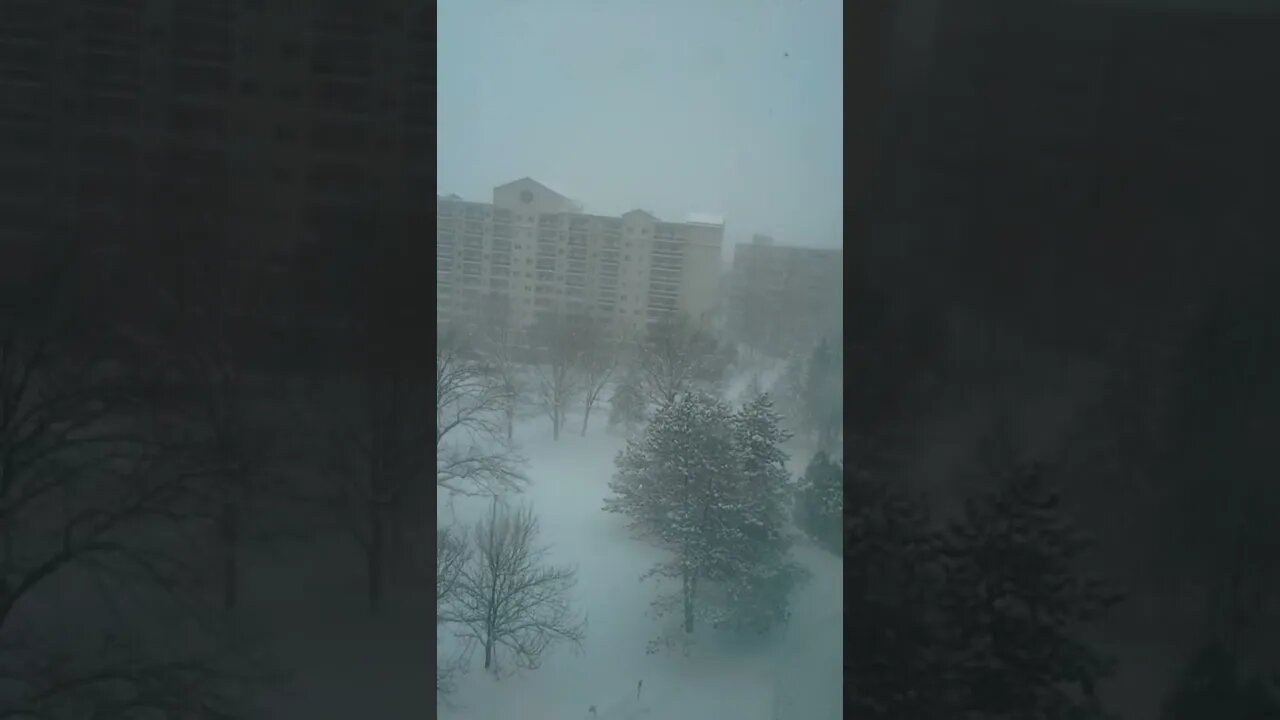 【各位老鐵不喜勿入可繞過】暴雪