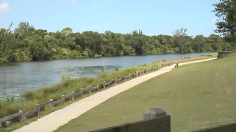 Director of Florida Oceanographic Society outlines latest water quality report