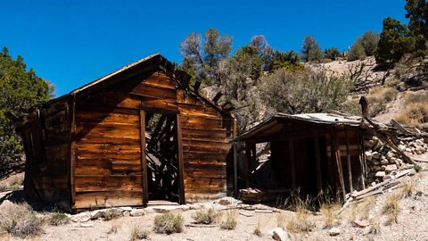 Exploring Abandoned Homesteads: Hidden Treasures Await!